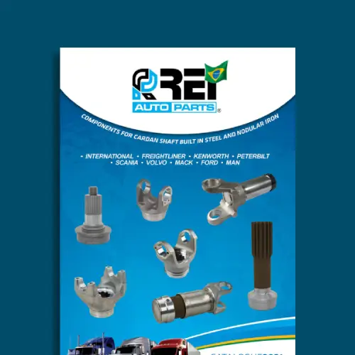 Institucional – Rei Auto Parts