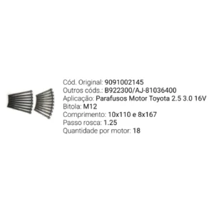 Representante FirPar no Ceará (8)
